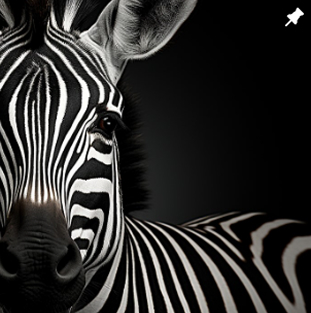 Retrato de proyecto de Zebra Producciones